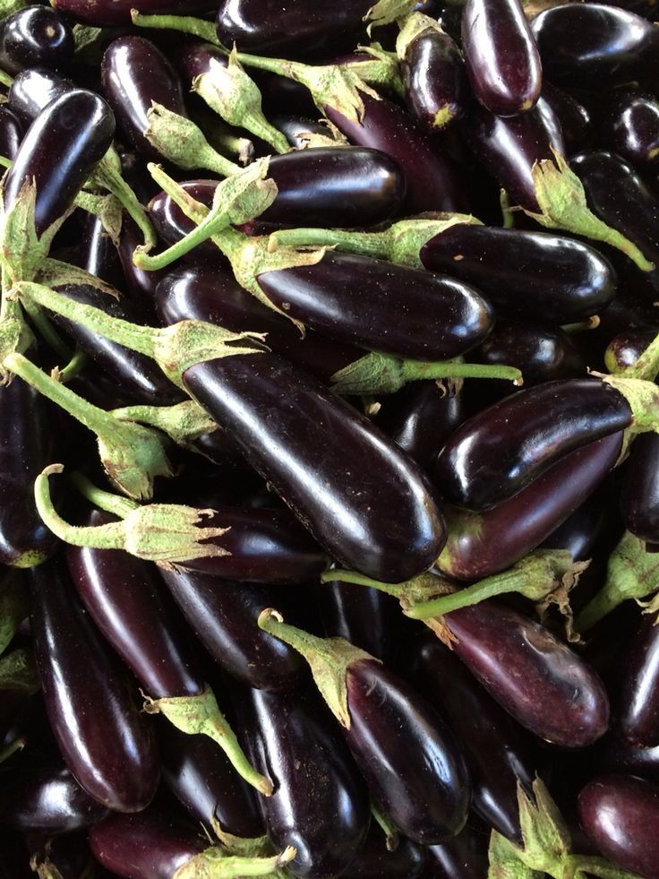 Eggplant