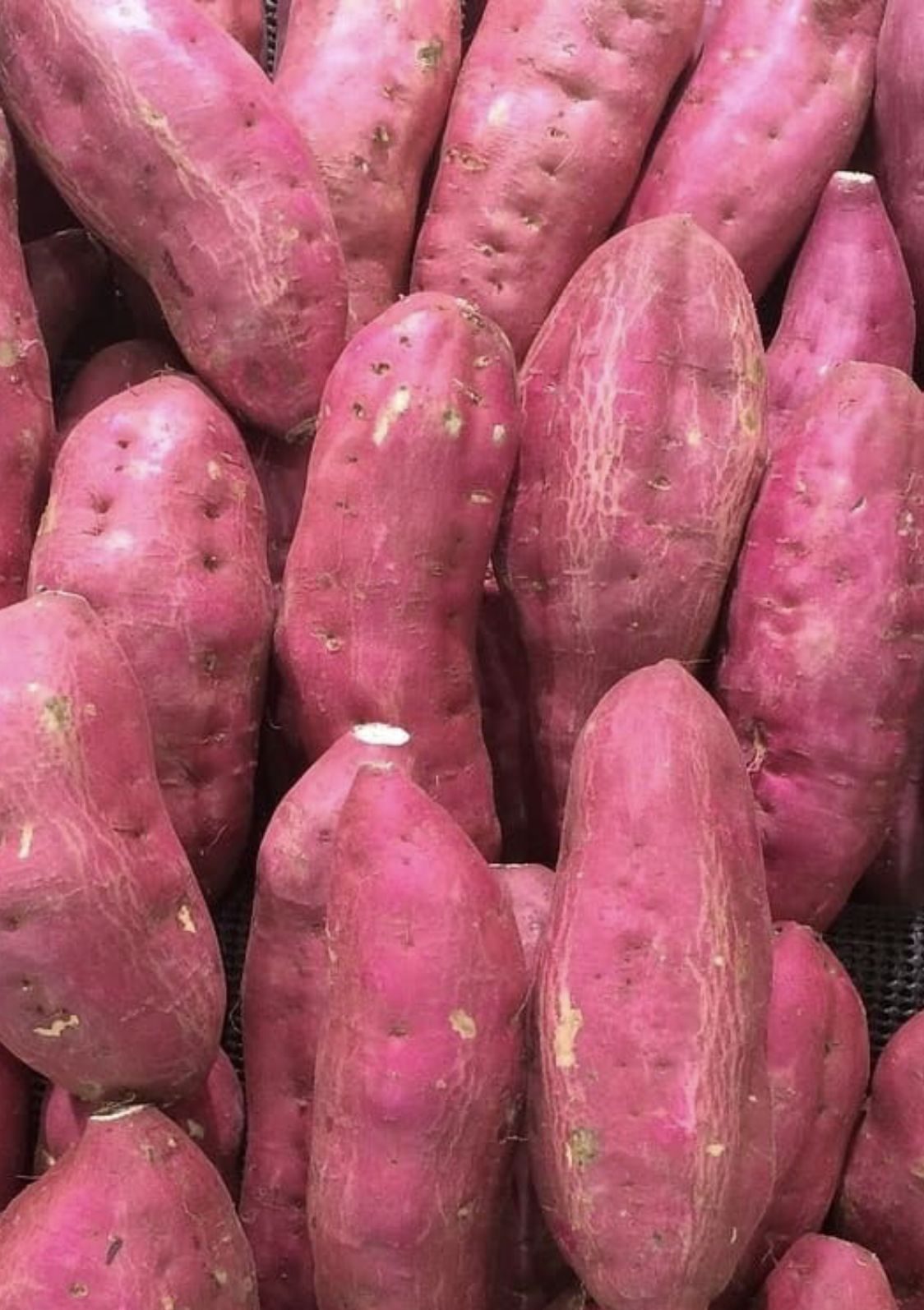 Sweet Potatoes