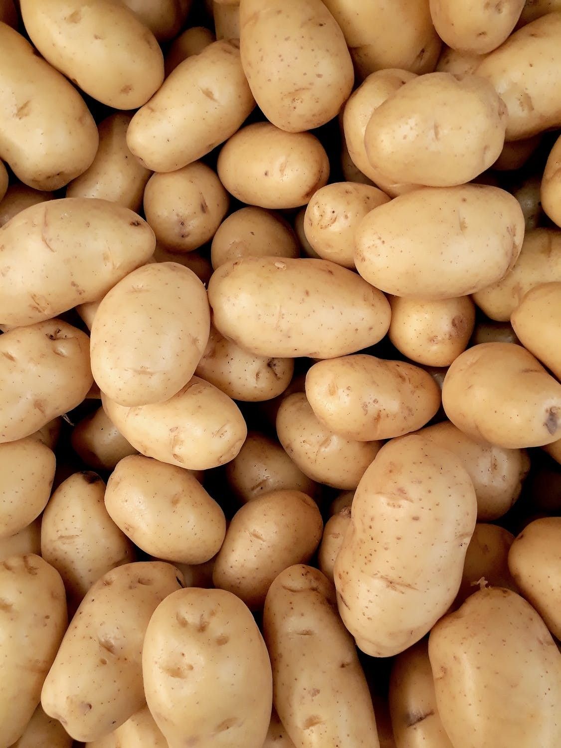 Fresh Potatoes