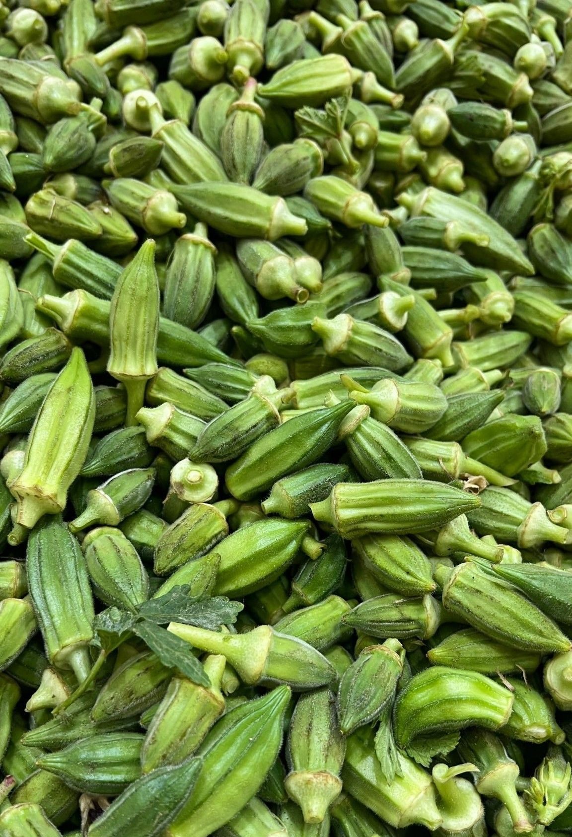 Fresh Okra