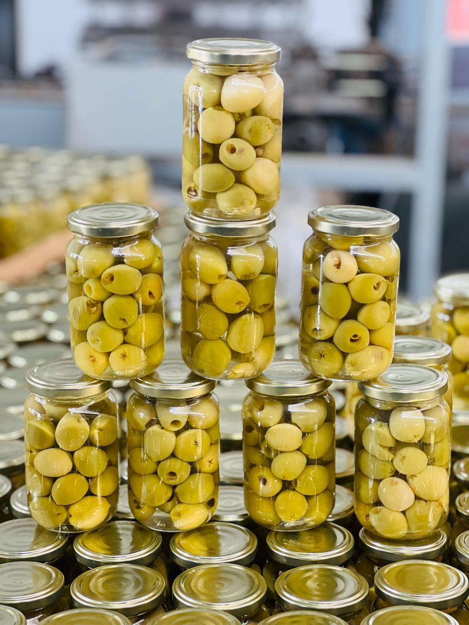 Canned Olives- Green pitted