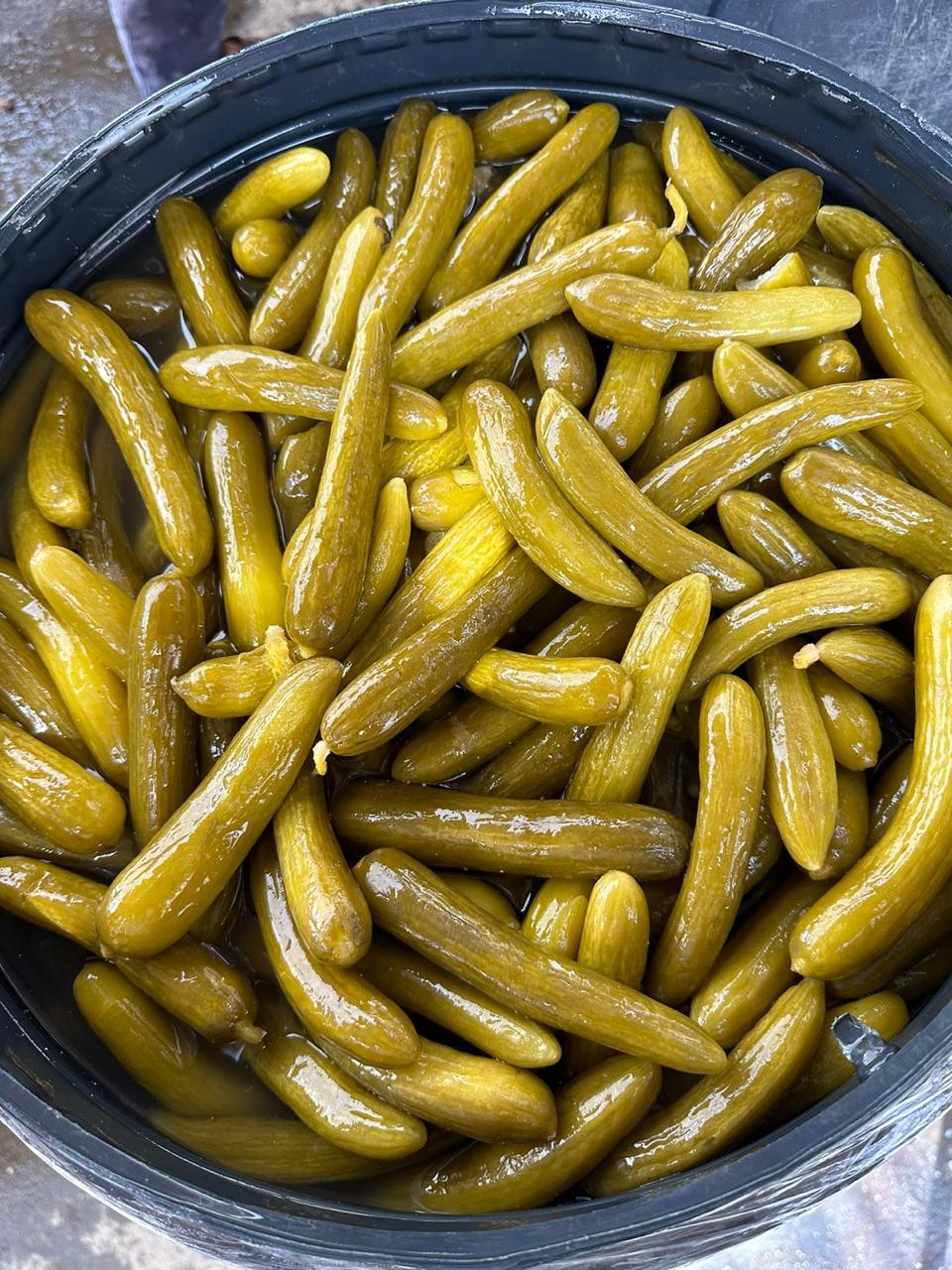 Cucumber in brine