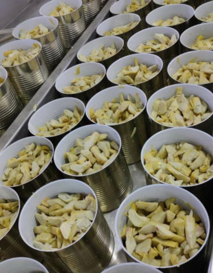 Canned Artichokes quarters